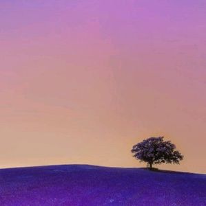 Meet your Posher, Ebony